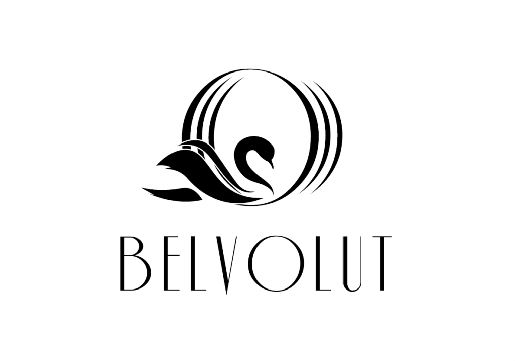 Grafikflow_Logo-Portfolio_WenckeBoerding_Belvolut