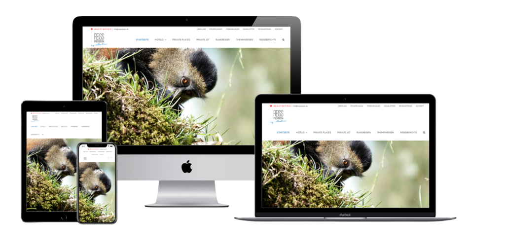 Grafikflow_Web-Design_4_Reissreisen