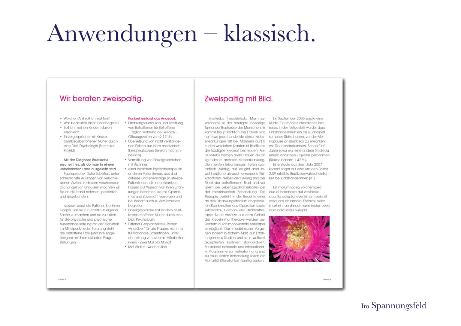 Grafikflow-WBoerding_Broschuere-Layout-Zebra_121016_Seite_05